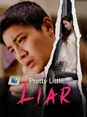 Pretty Little Liar cover art