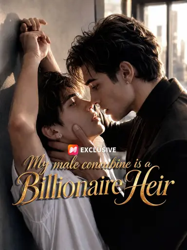 My male concubine is a Billionaire Heir