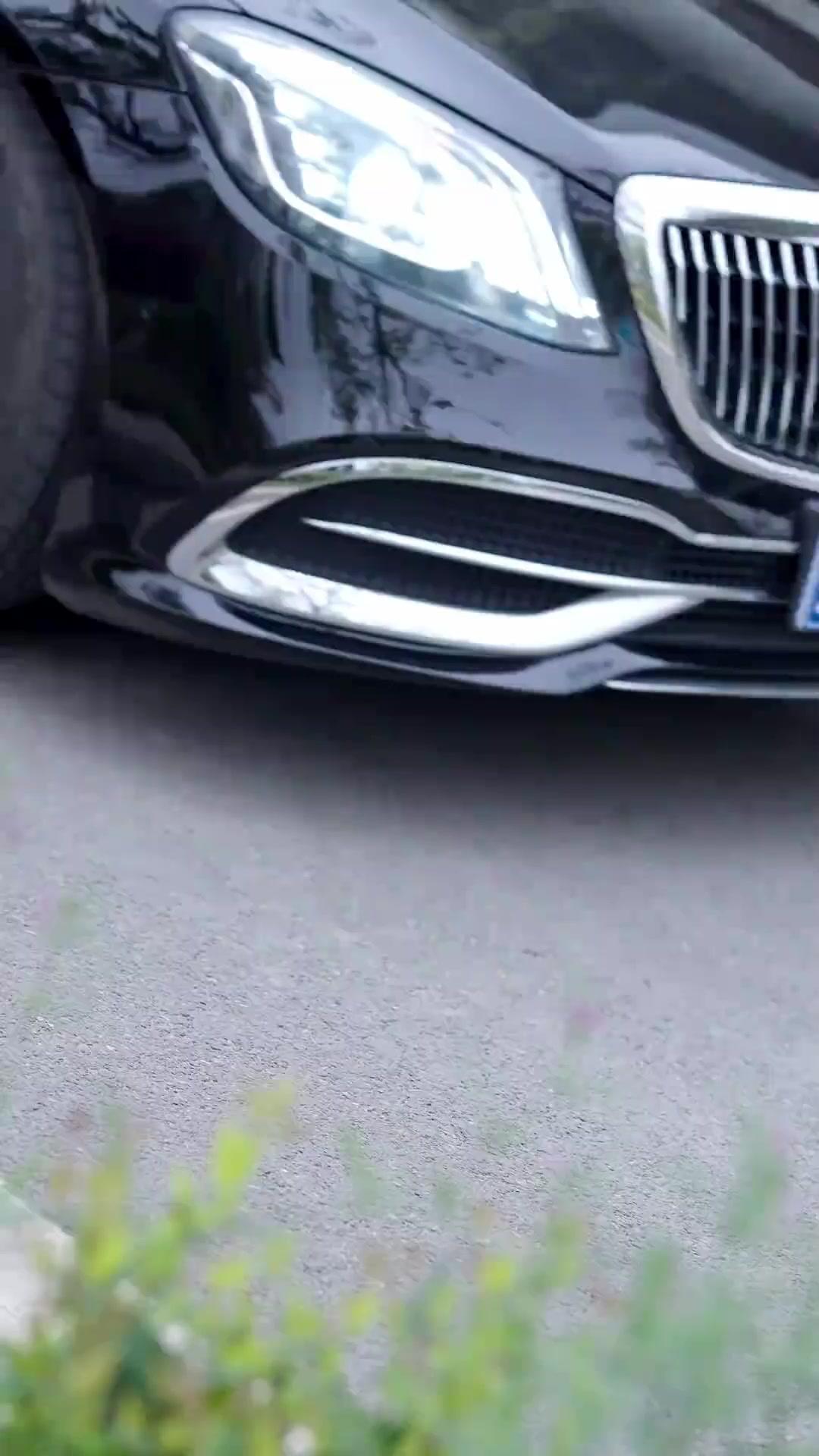 Papá Lobo Regresó