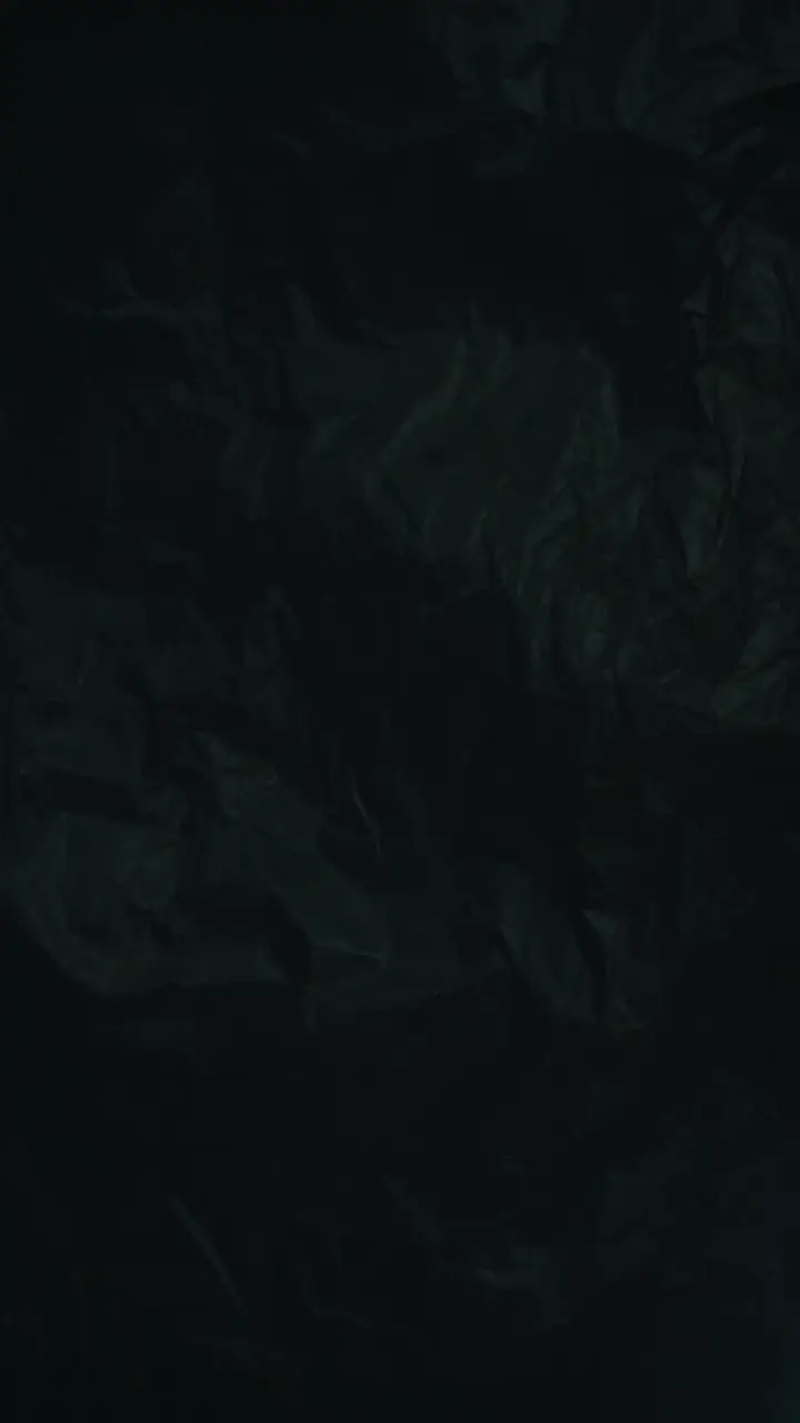 Python Attack! Run! Episode 28