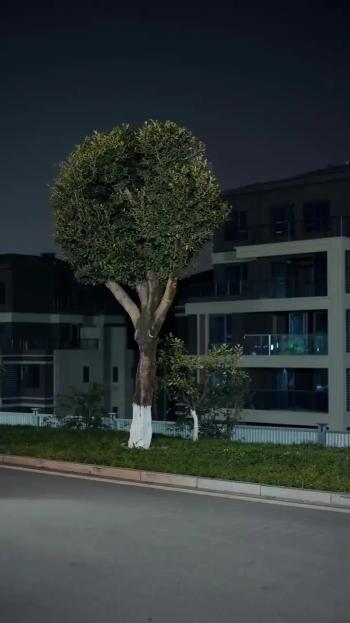 Çalınan Taç Bölüm 40