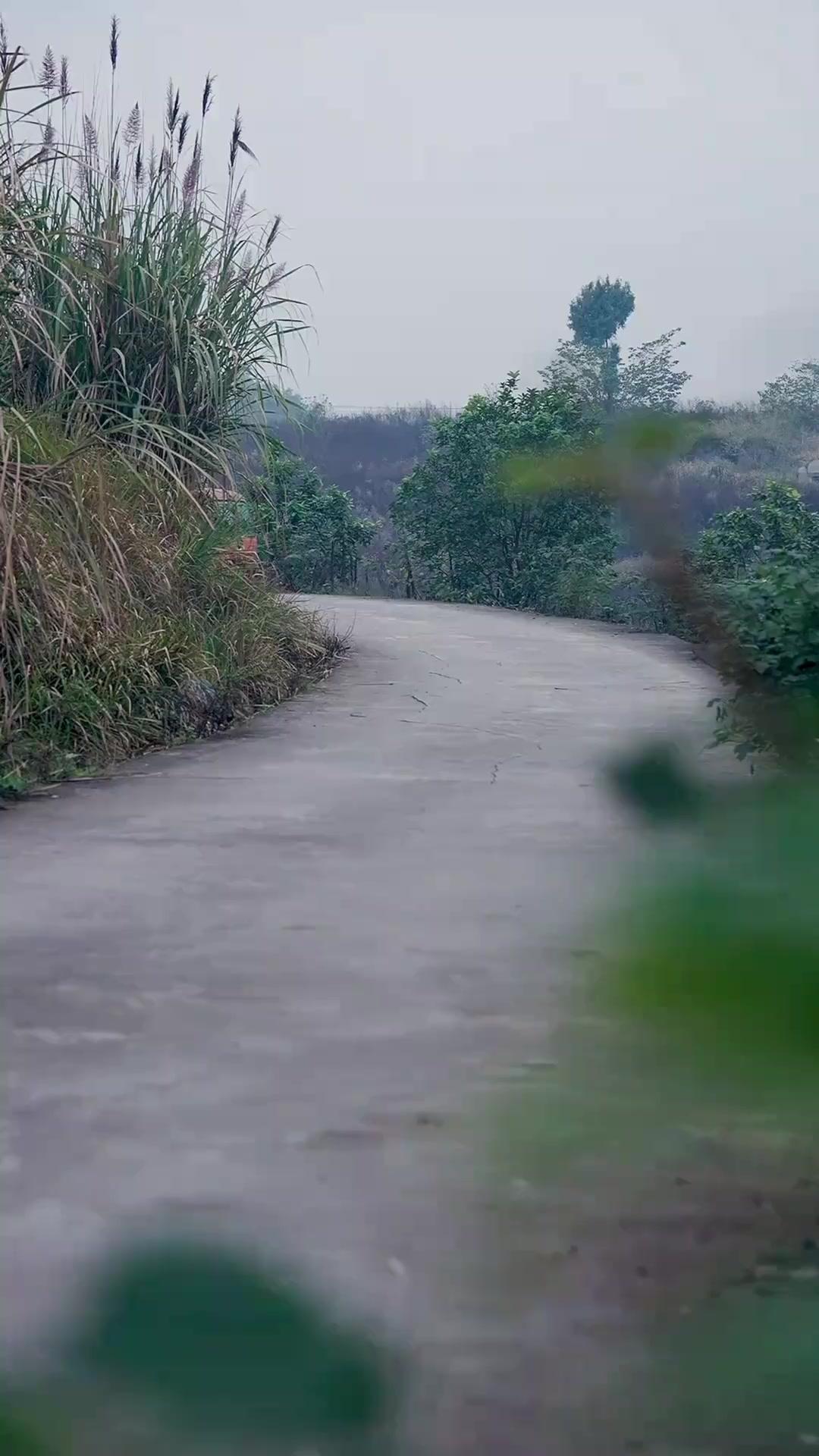 Semua Hal ada Efek