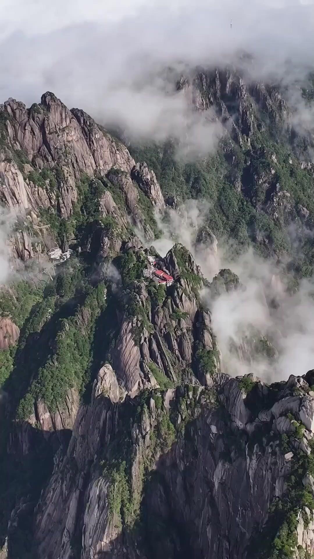 El maestro niño