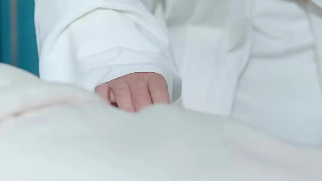 We Are Meant to Be: When a Healer’s Hands Speak Louder Than Words