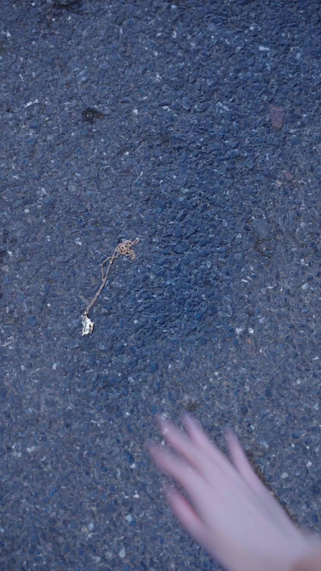 LA SŒUR PERDUE
