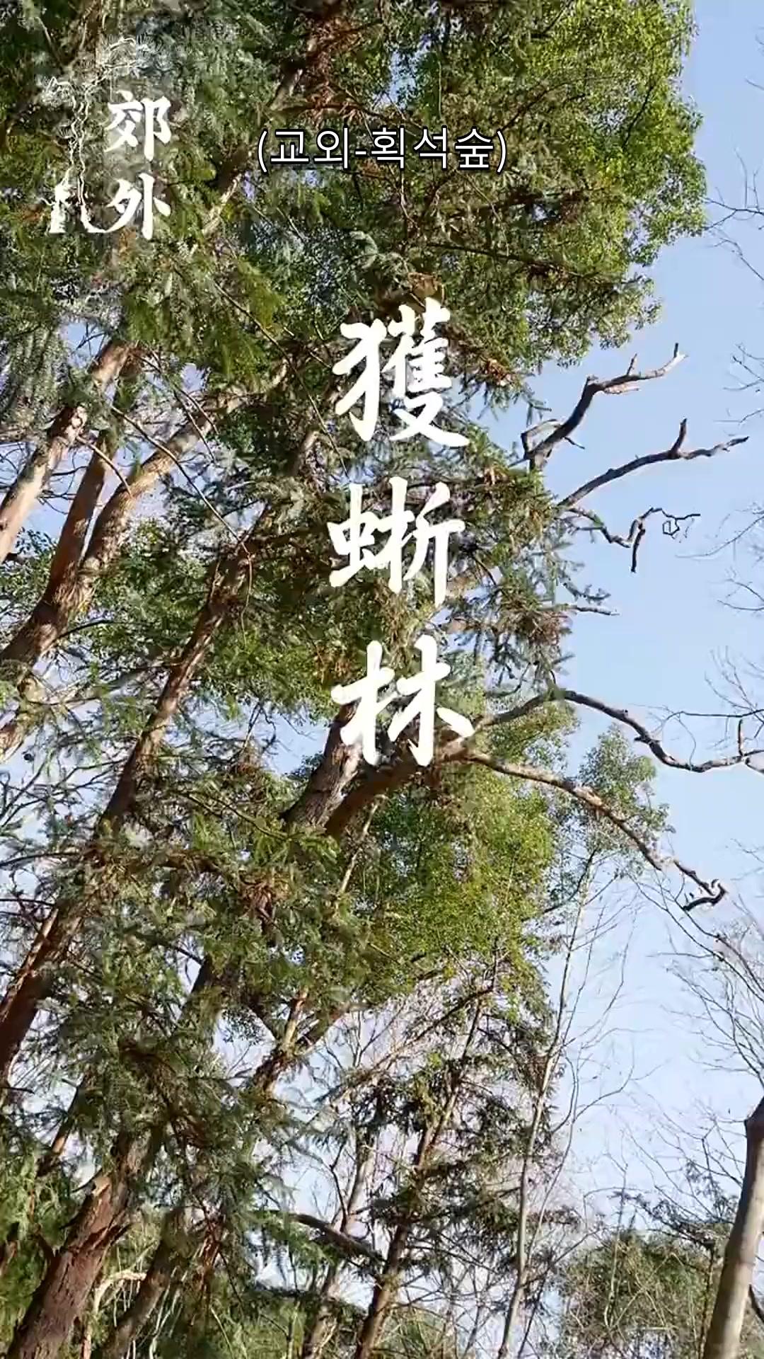 다시 시작하는 영웅