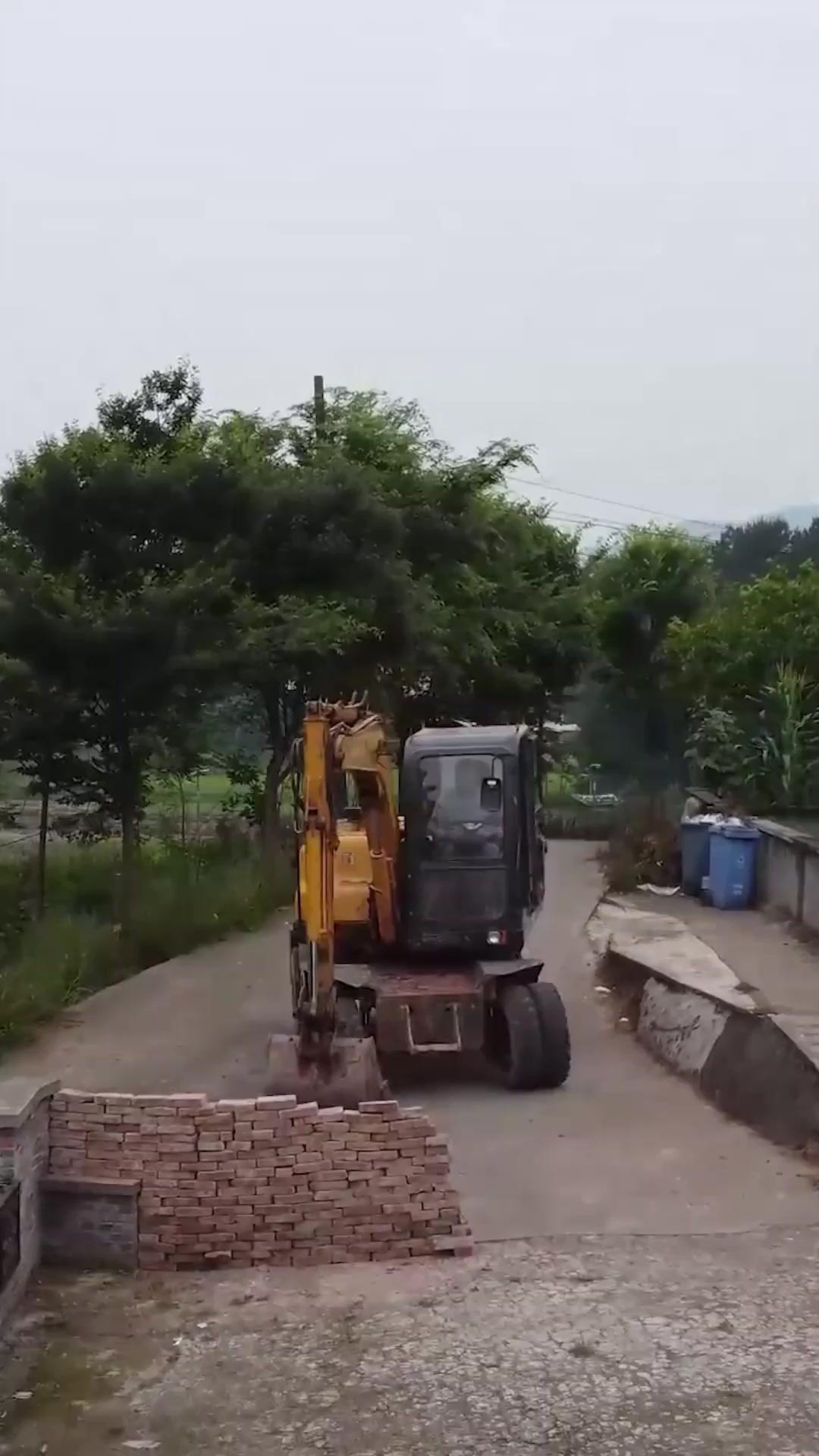 Nona Direktur yang Asli dan Palsu