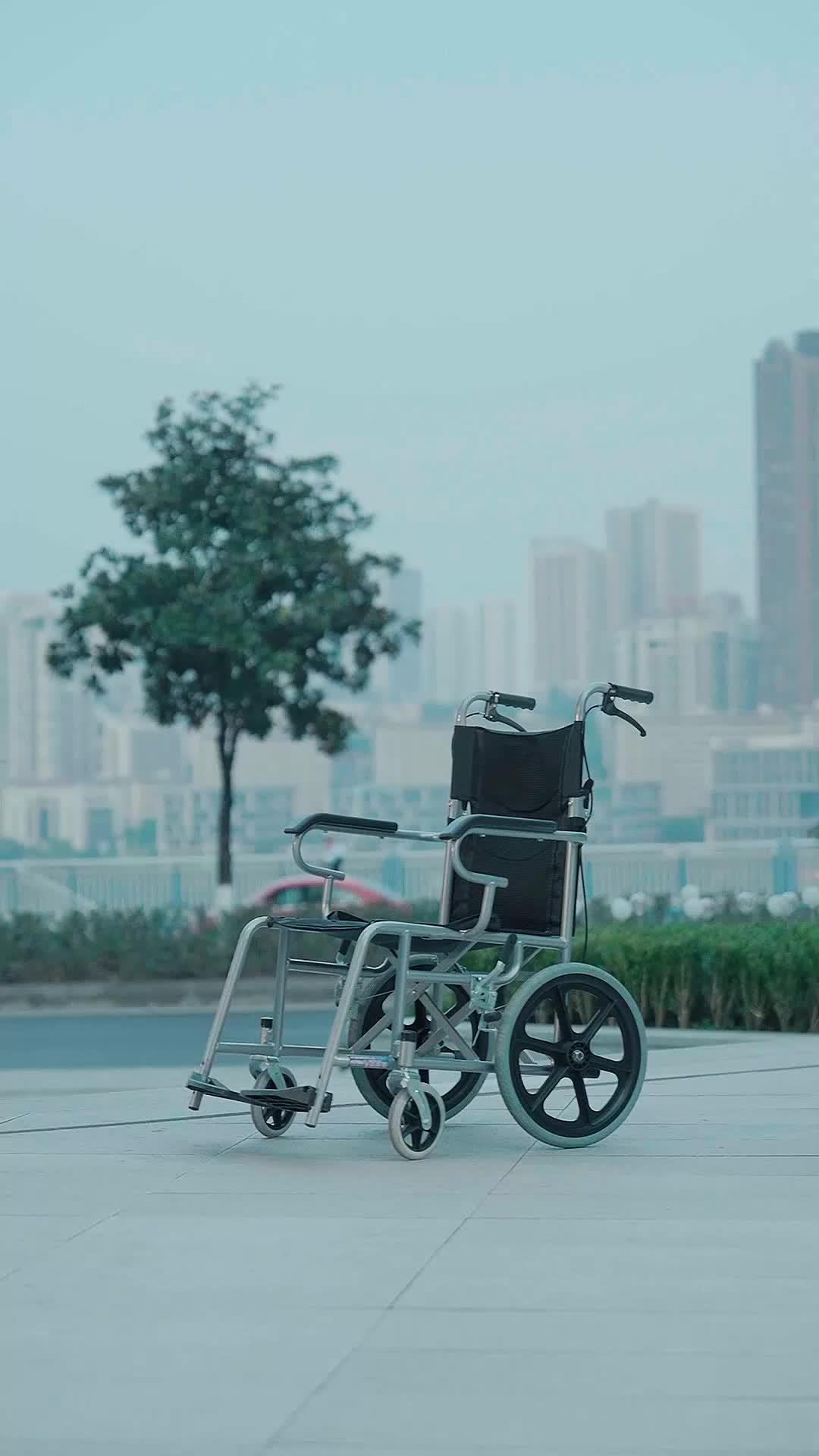 UNE VIE VOLÉE