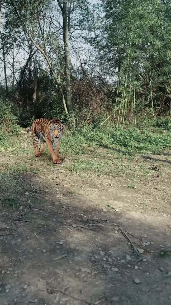 Episode 29