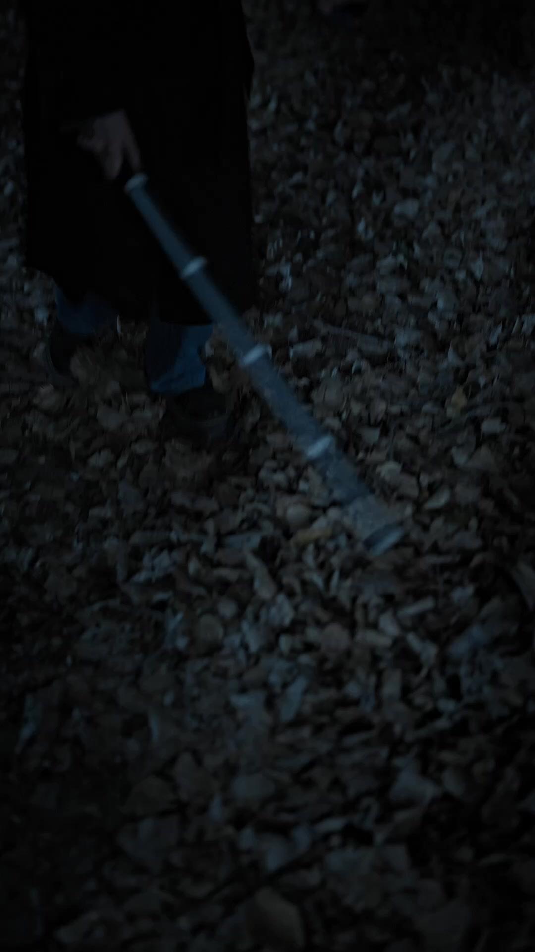 LA CHASSE DANS LE NOIR