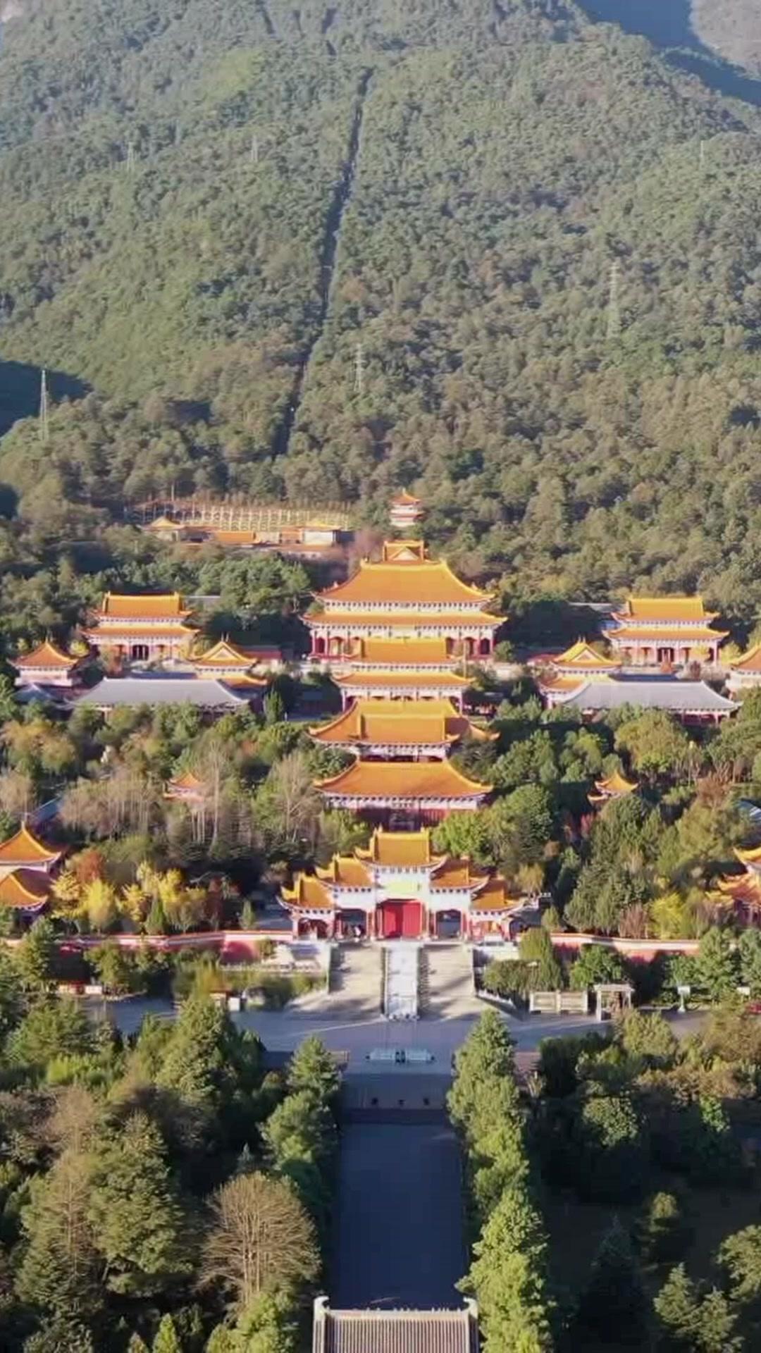 多子多福，造就最強修仙世家