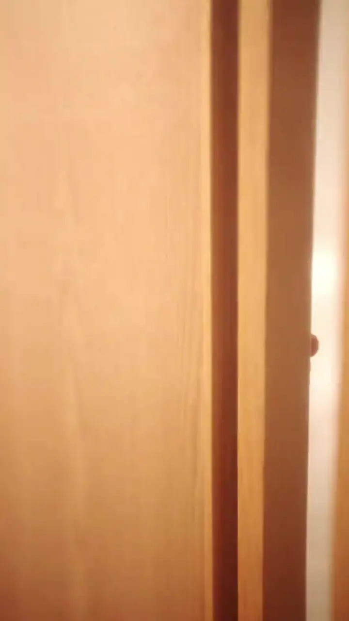 The Maid and the Masters Episode 1