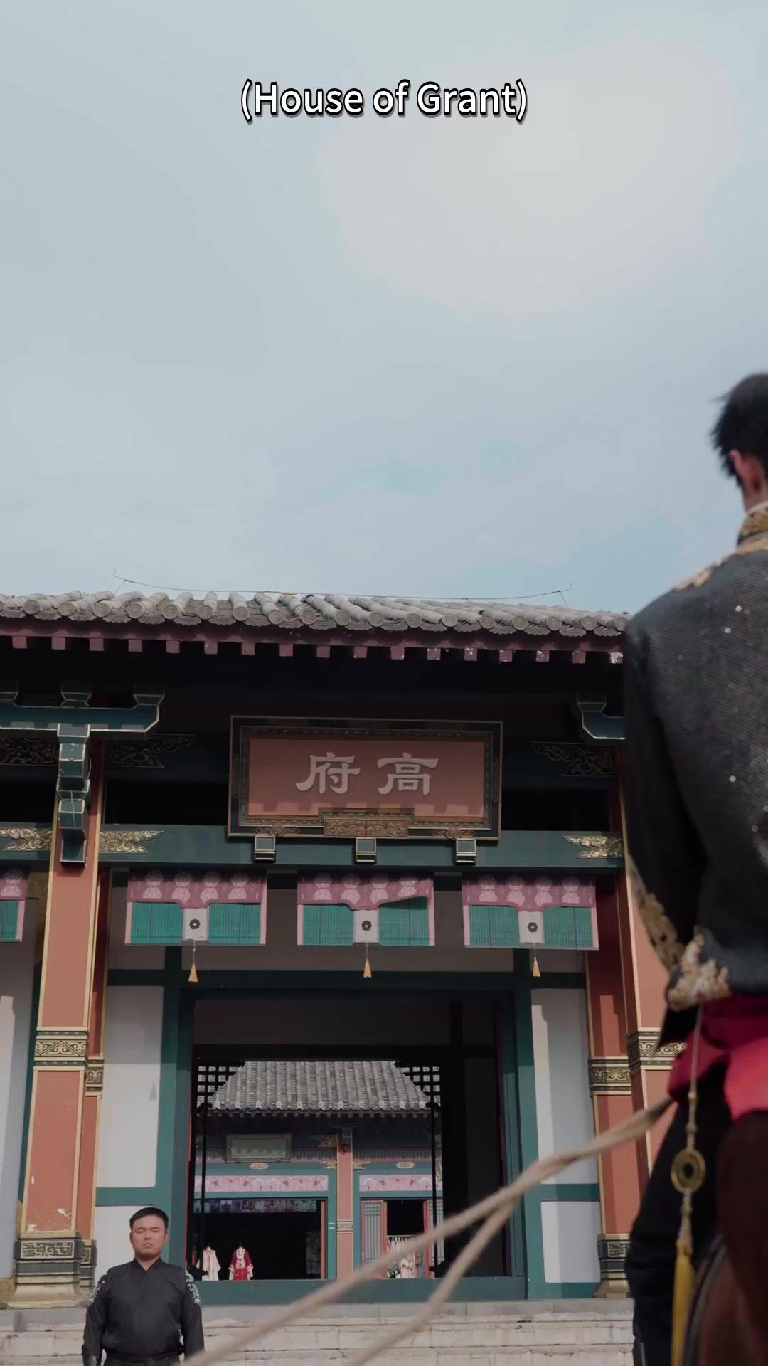 Heir of the Martial Arts: A Story of Love and Vengeance 