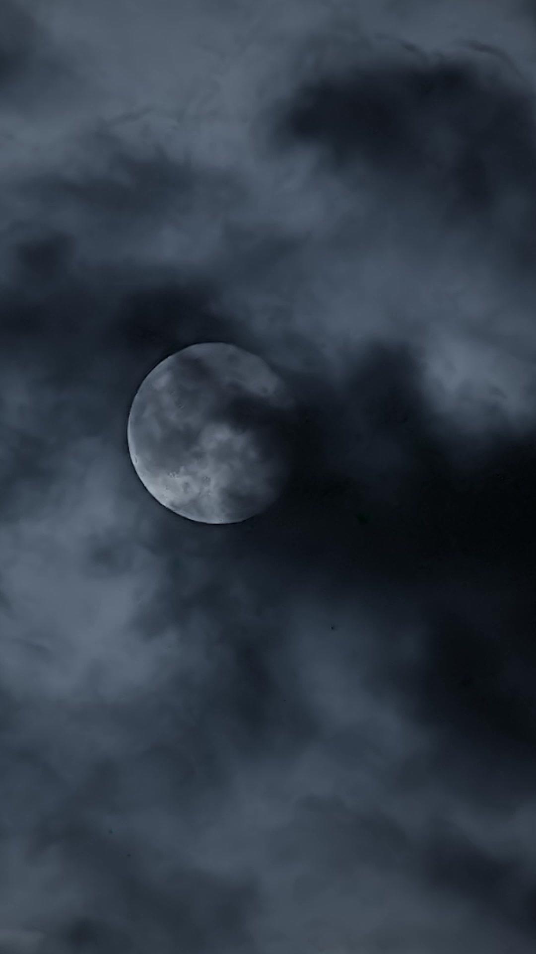 His Lost Lycan Luna