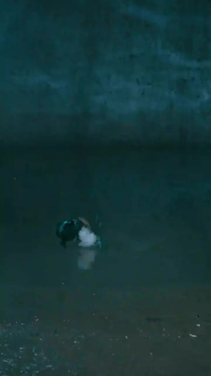 Episode 4