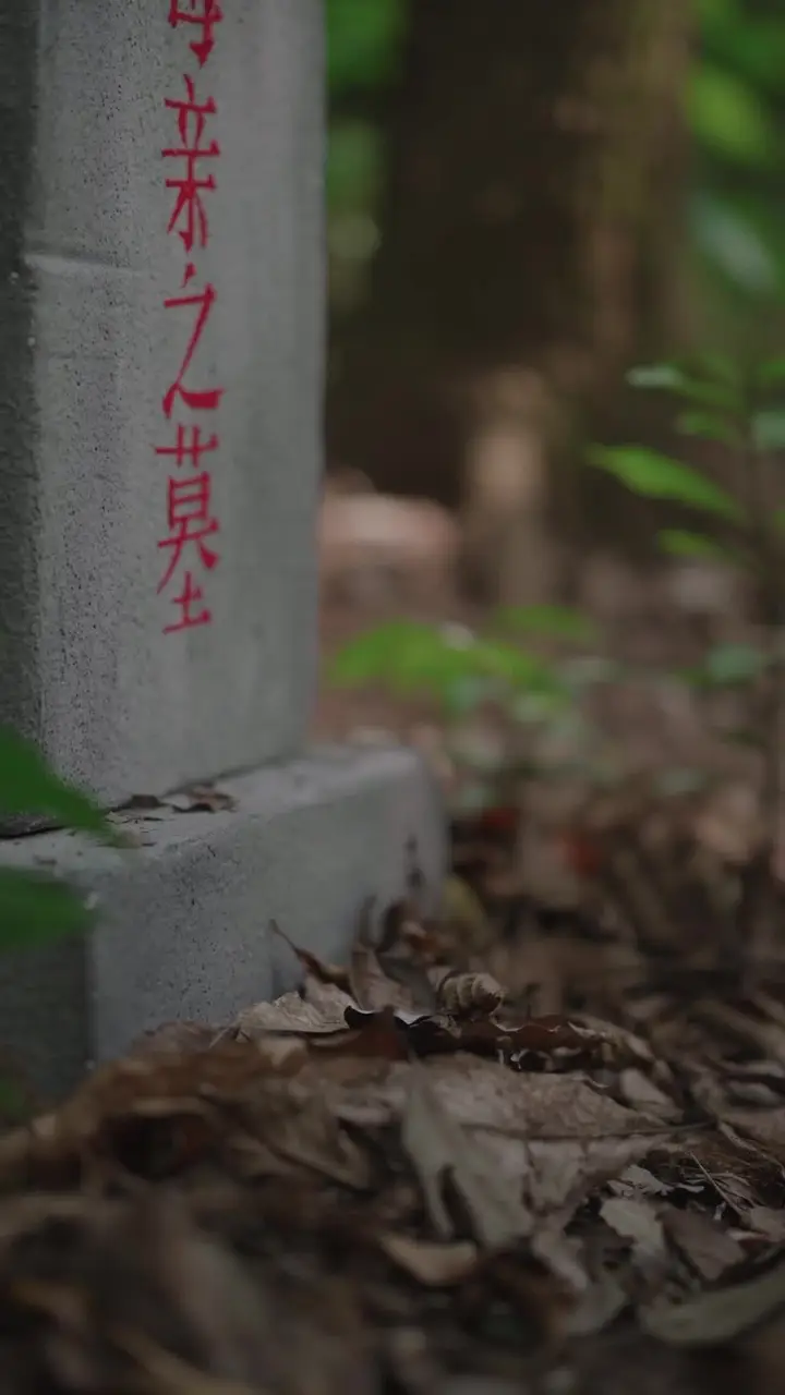 Love, Lies, and a Little One Episode 86