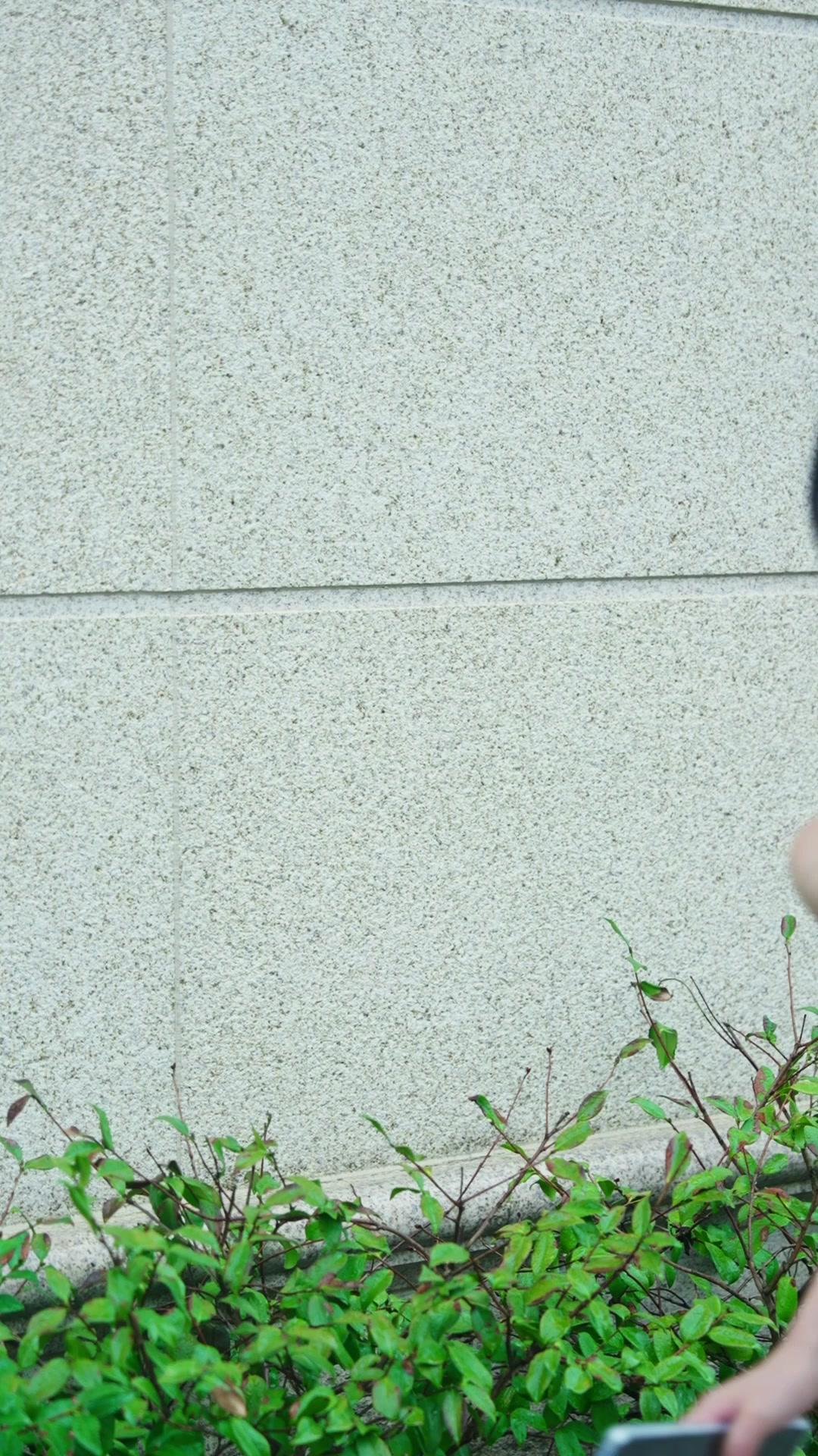Mio Figlio, il Tuo Segreto