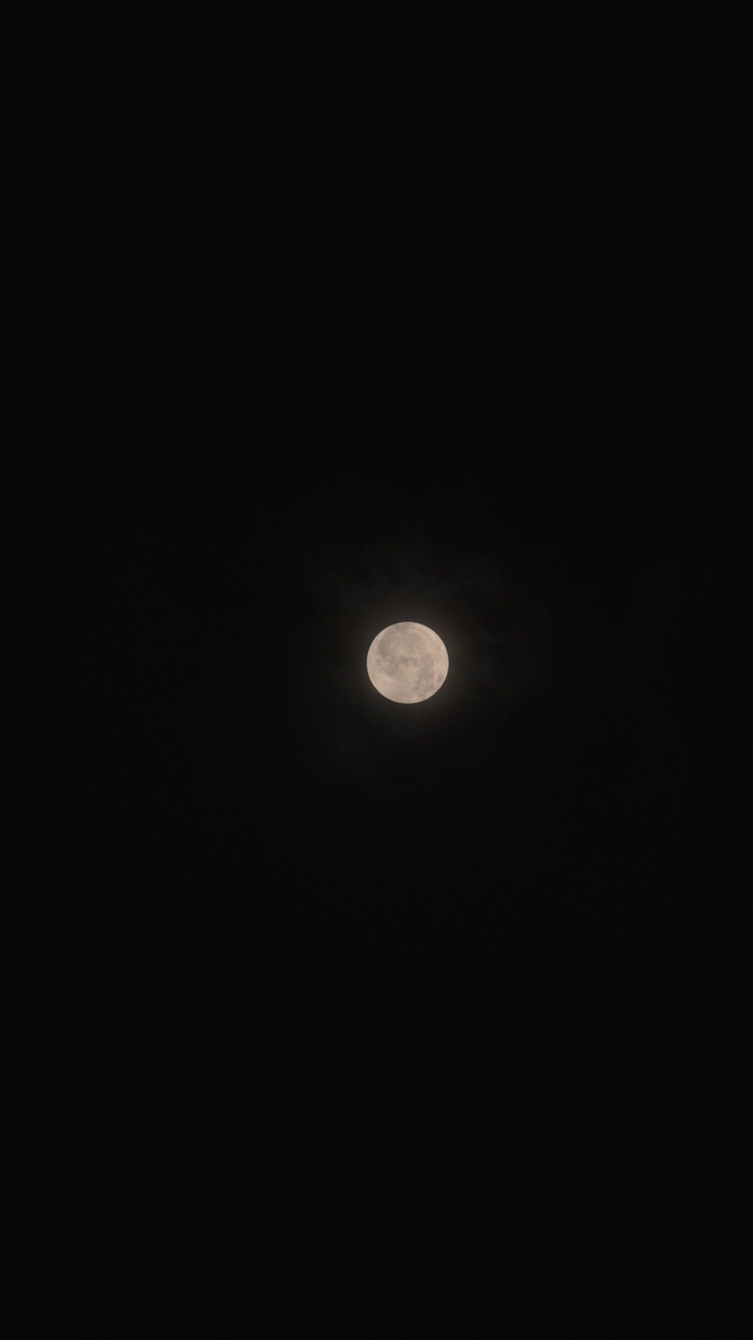 독점본능