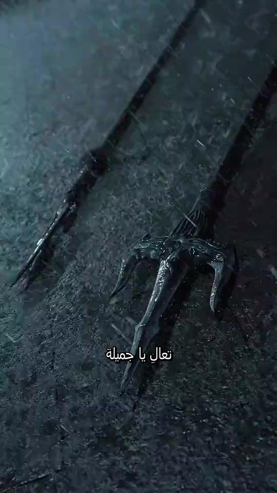سيد السيوف