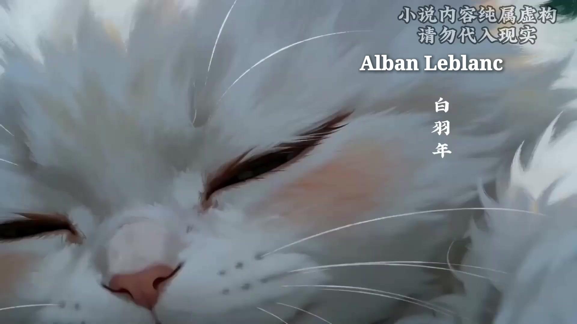 JE SUIS DEVENU UN CHATON ?