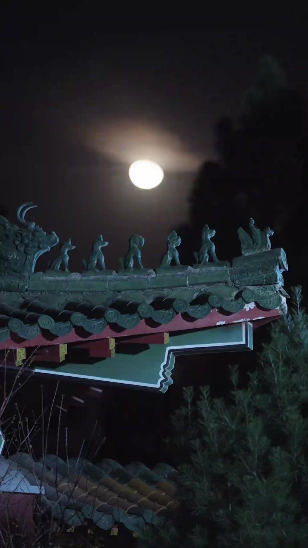 ยาพิษสื่อรัก