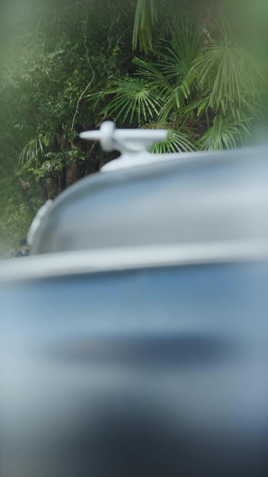 晚棠錯