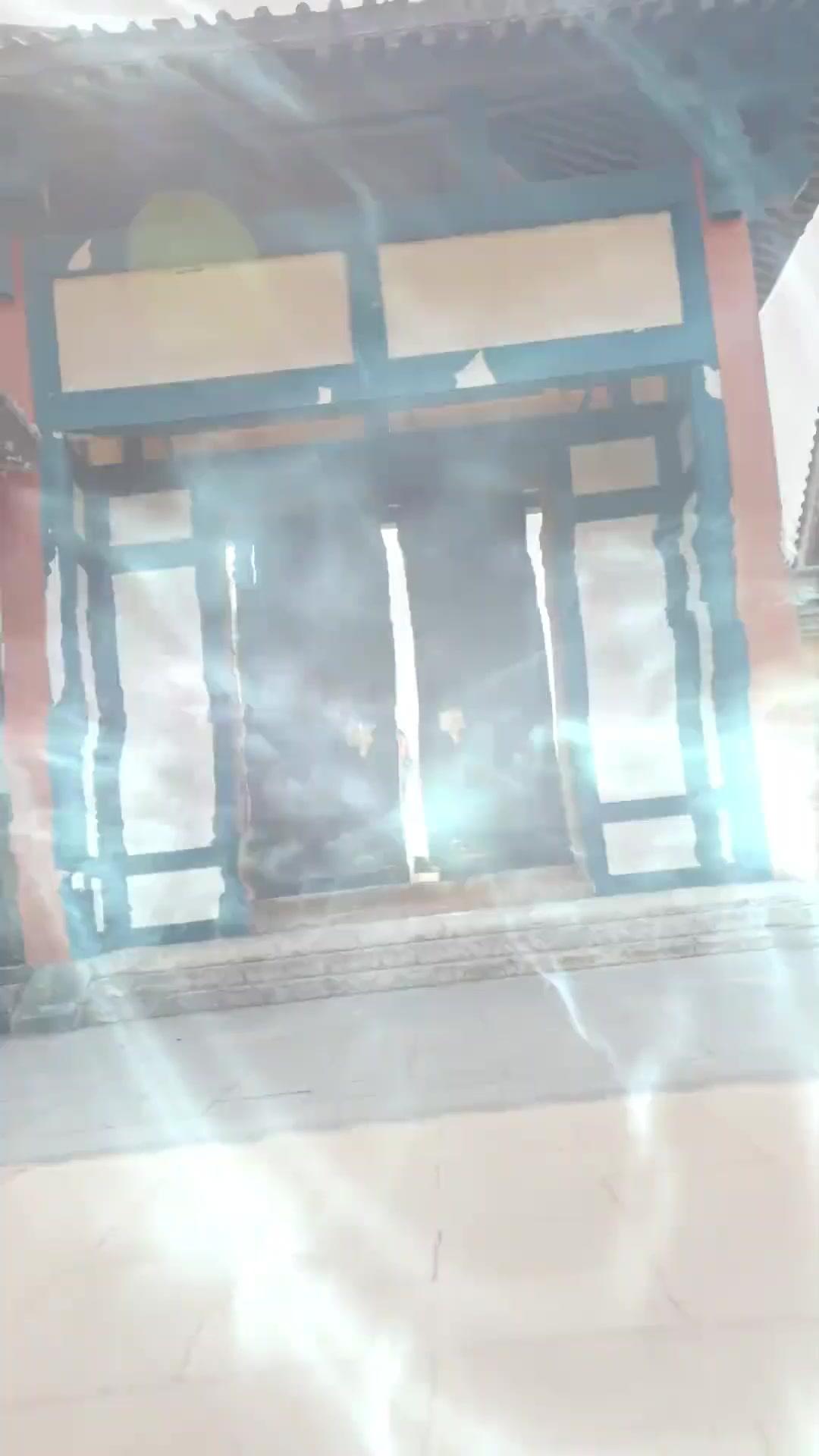 구속된 황금새