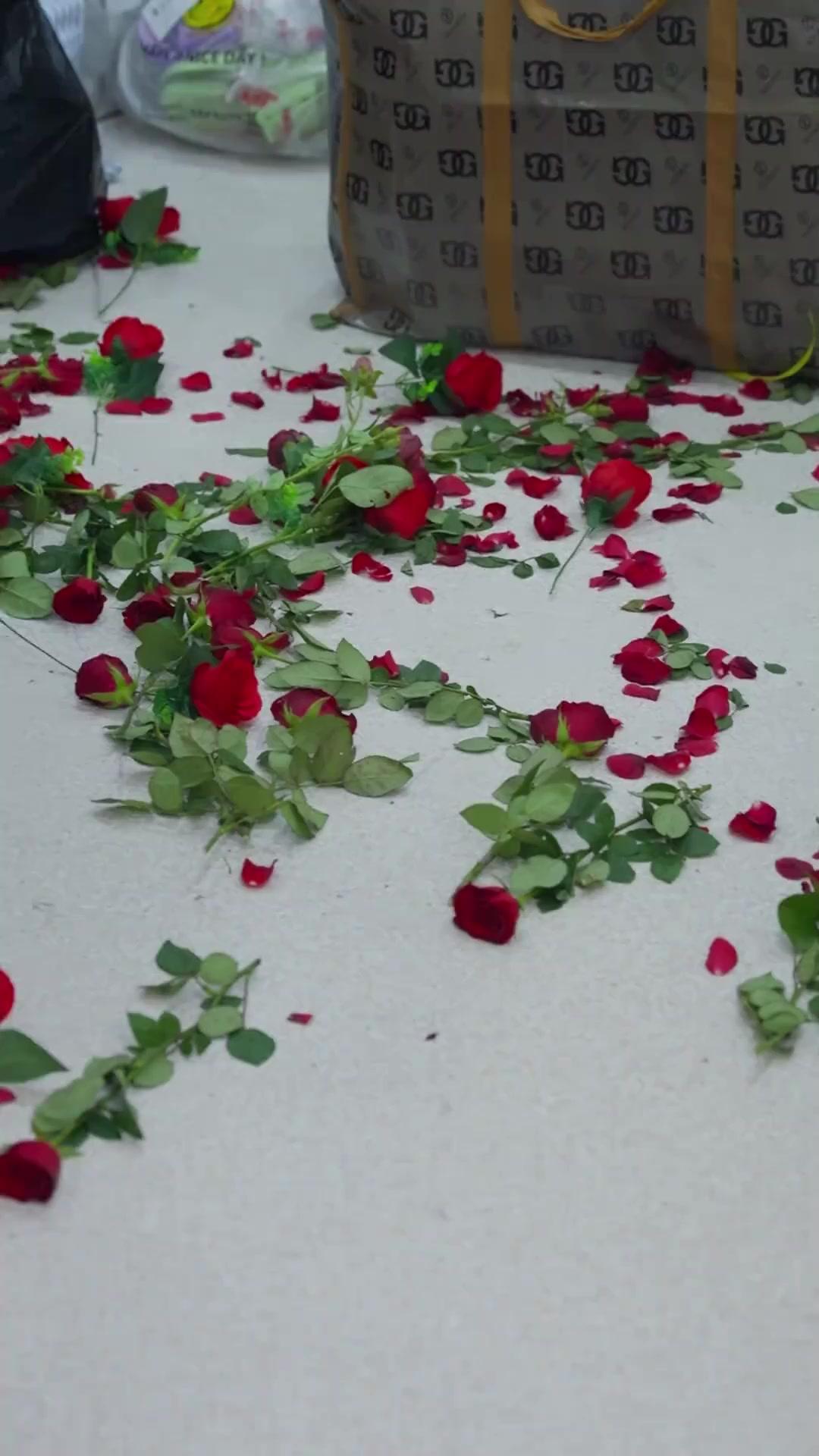 Ani Evlilikten Kaçamaz