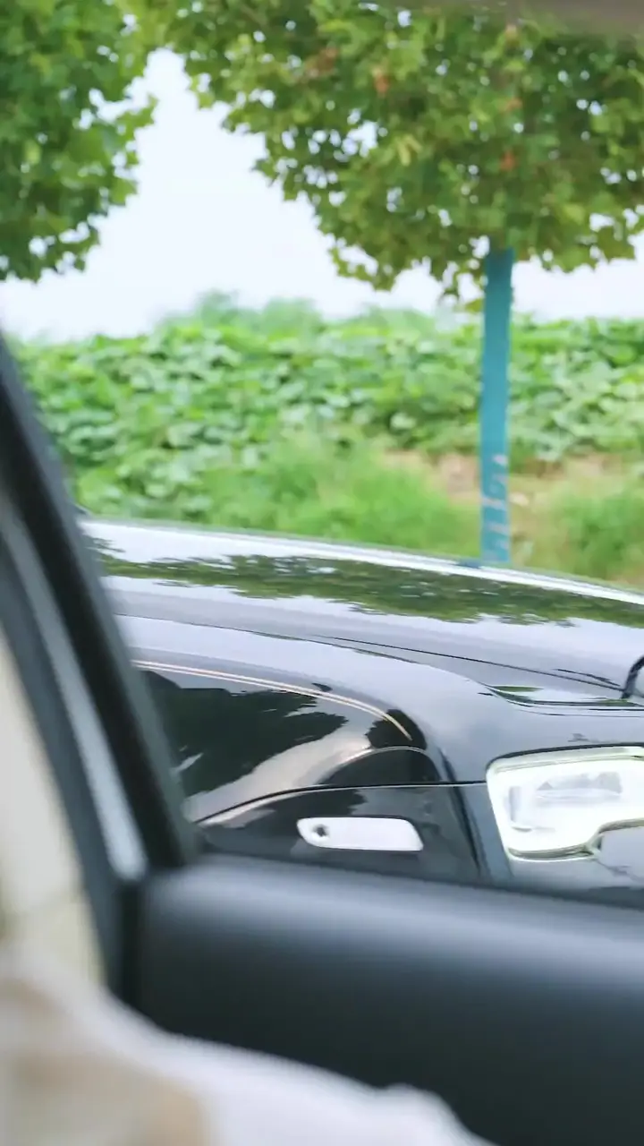 Pistin Gölgesi, Şerefin Işığı Bölüm 4