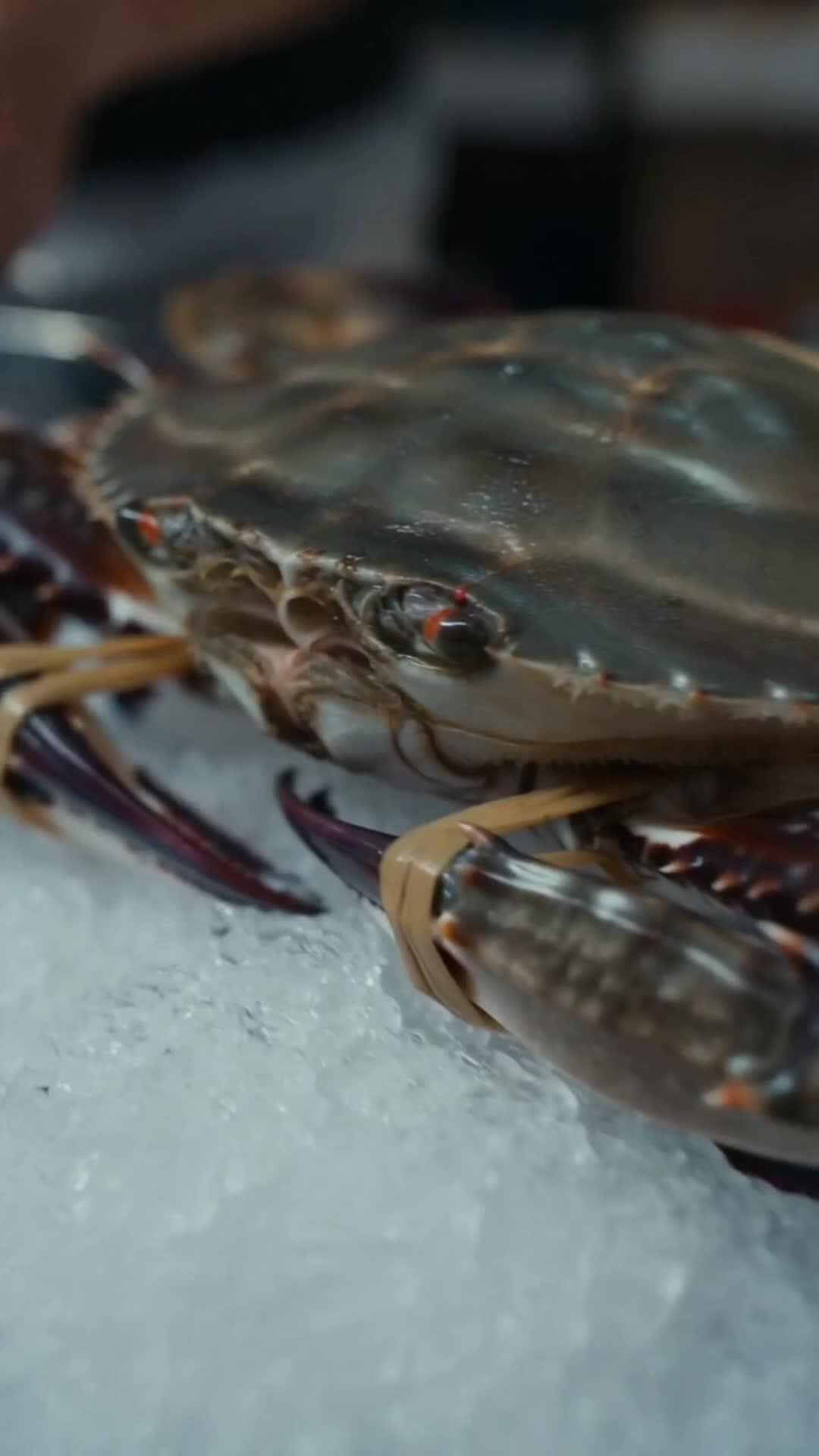 Sea’s Blessing Makes Me a Billionaire