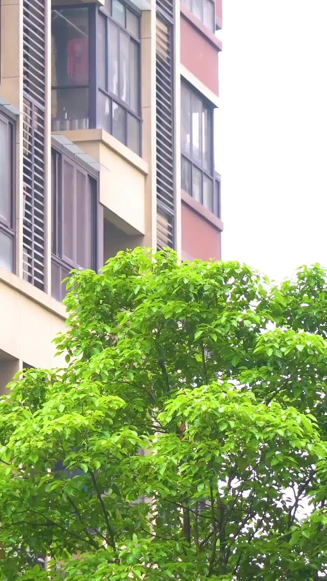 당신을 기다리는 시간
