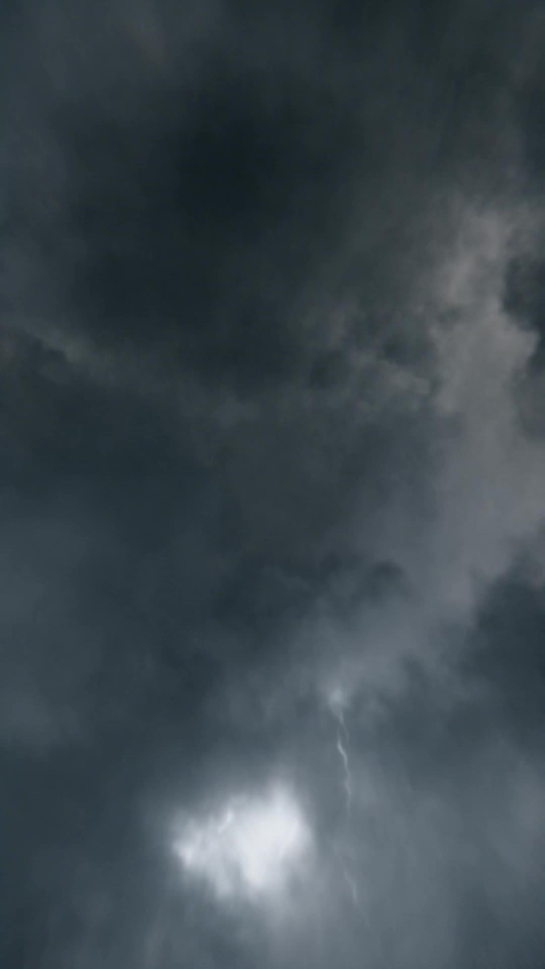 LE MONSTRE QUI NOUS SAUVE