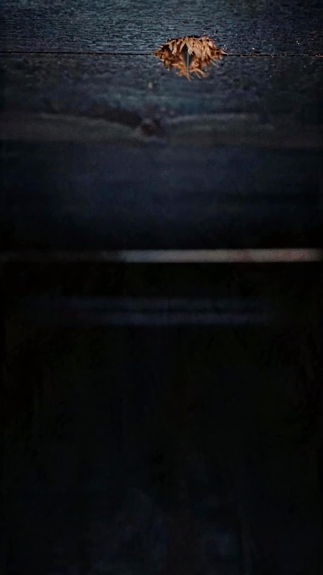 O Último Funeral dos Traidores