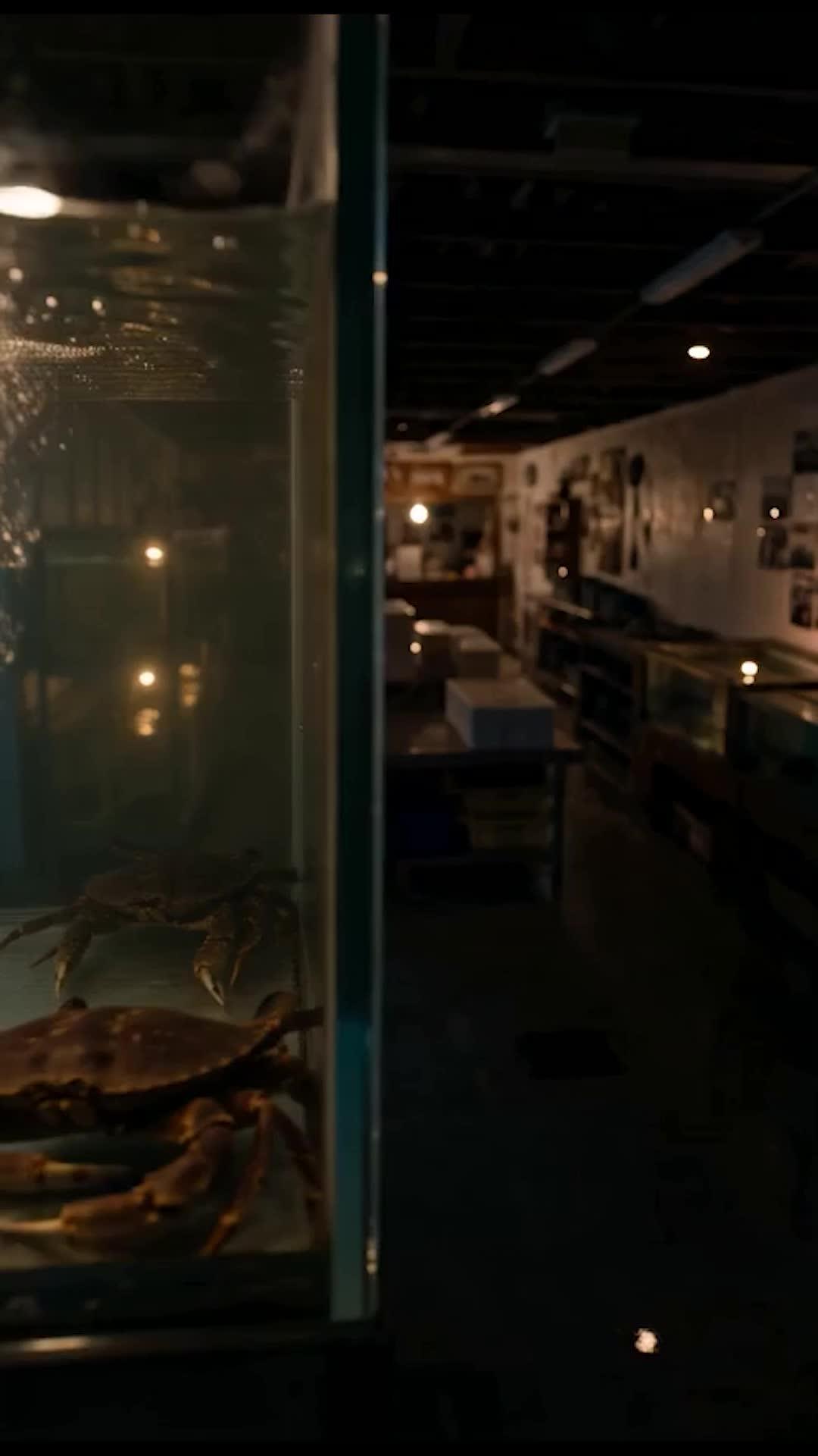 The Blue Crabs