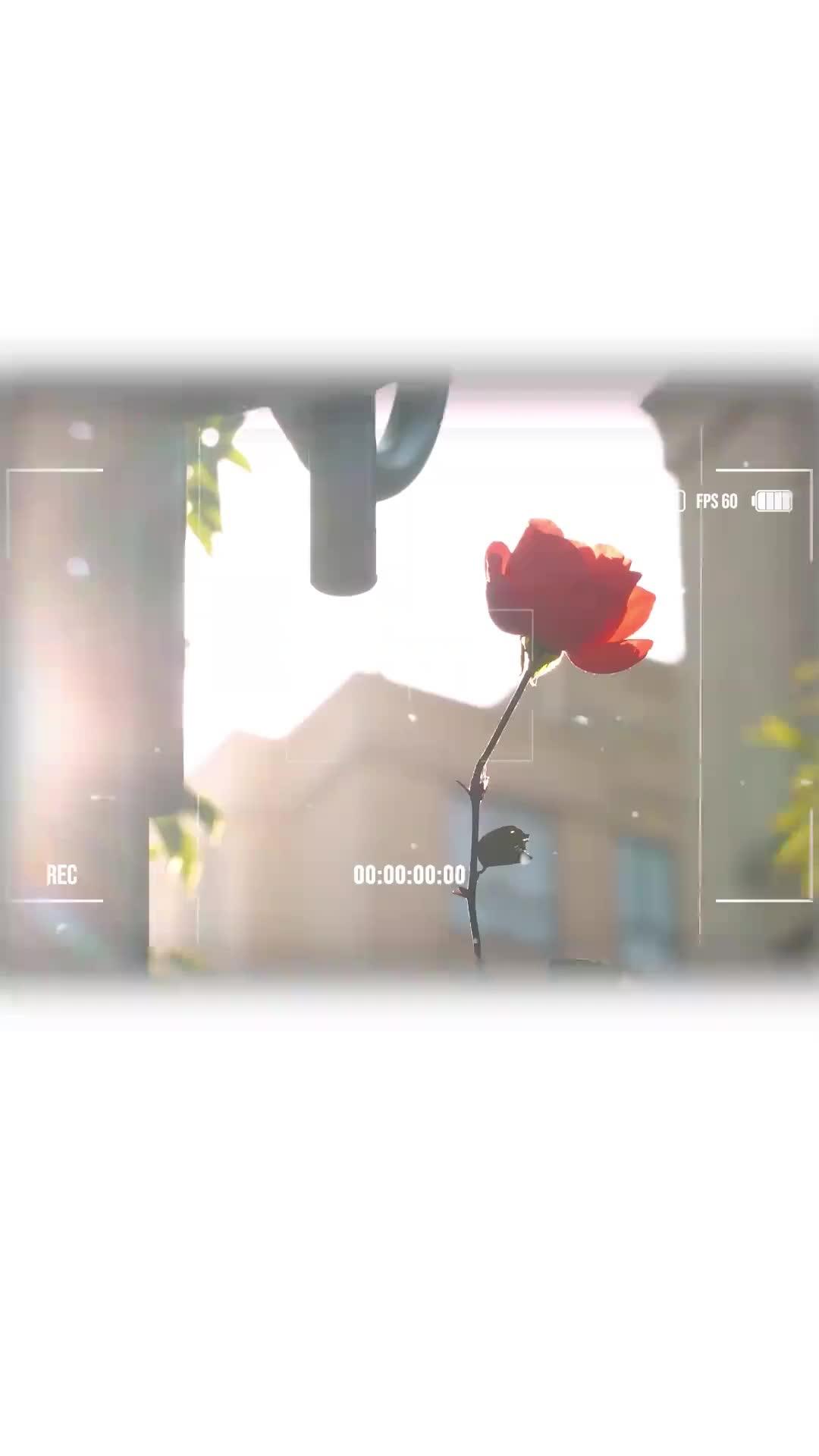 당신을 기다리는 시간