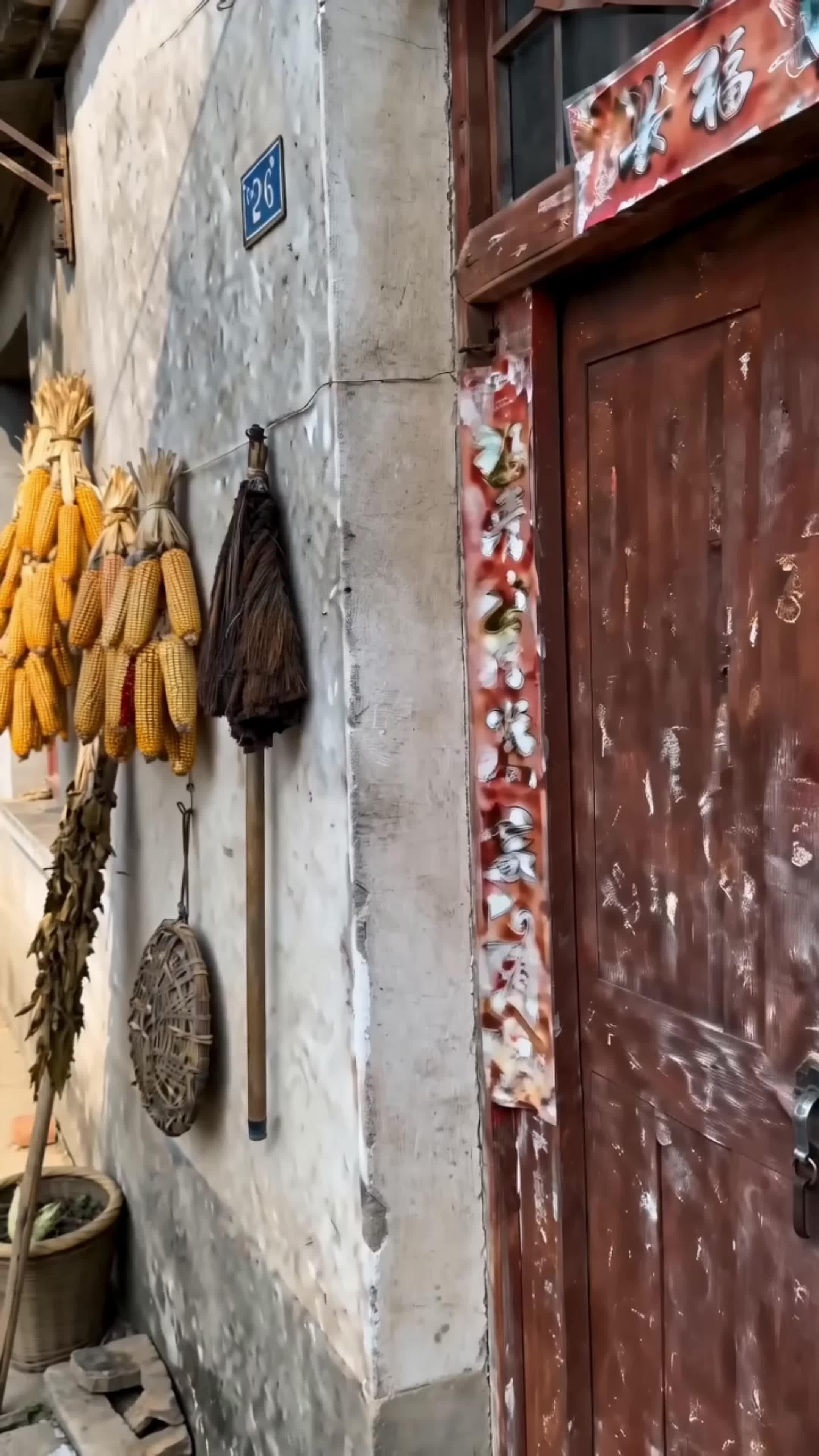 Elegí mal