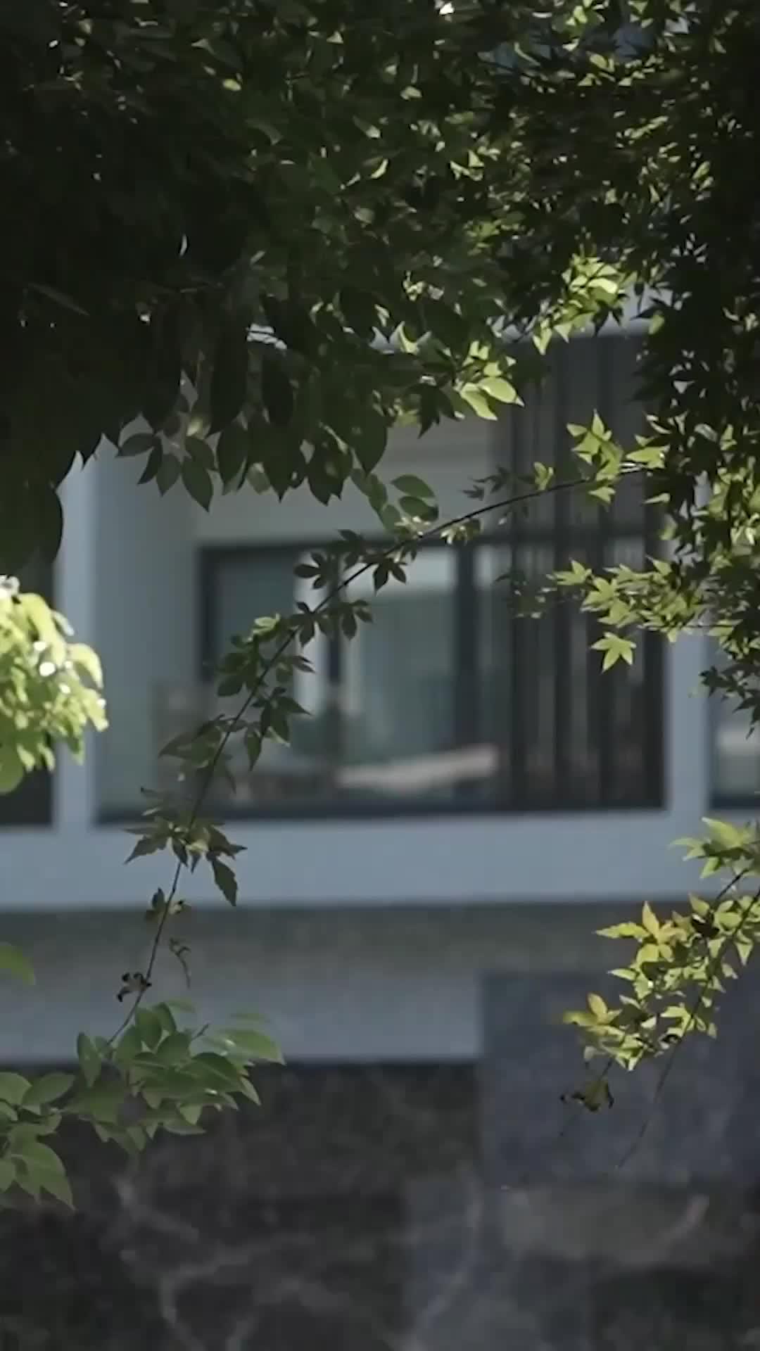 (더빙) 어둠 속에 찾아온 빛