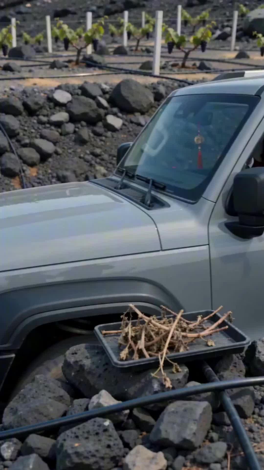 Agricultural King