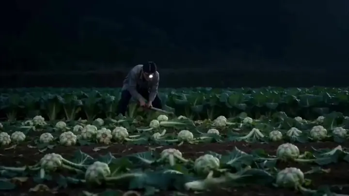 Episode 28