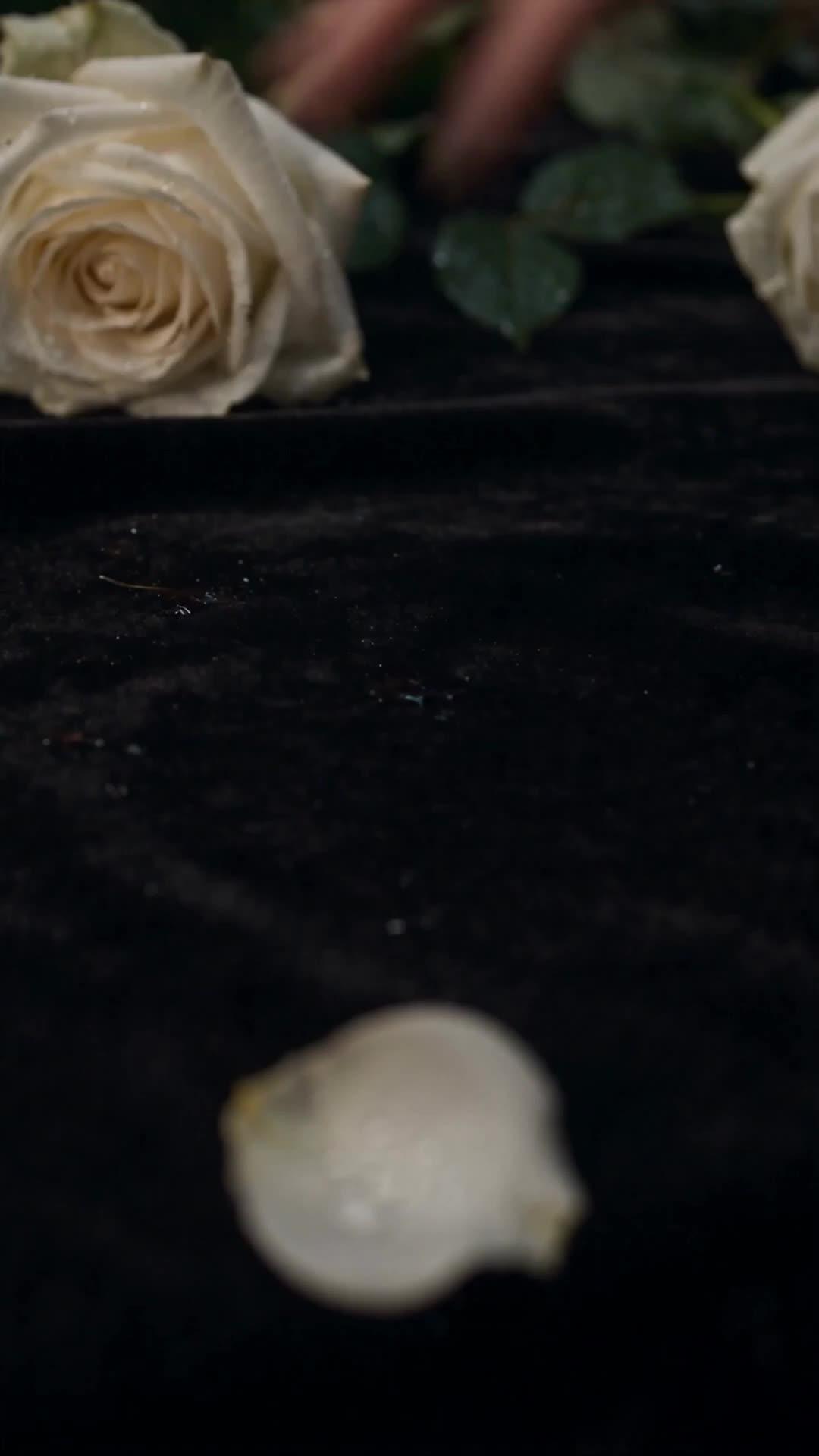 The Fallen Prince Returns With His Heir