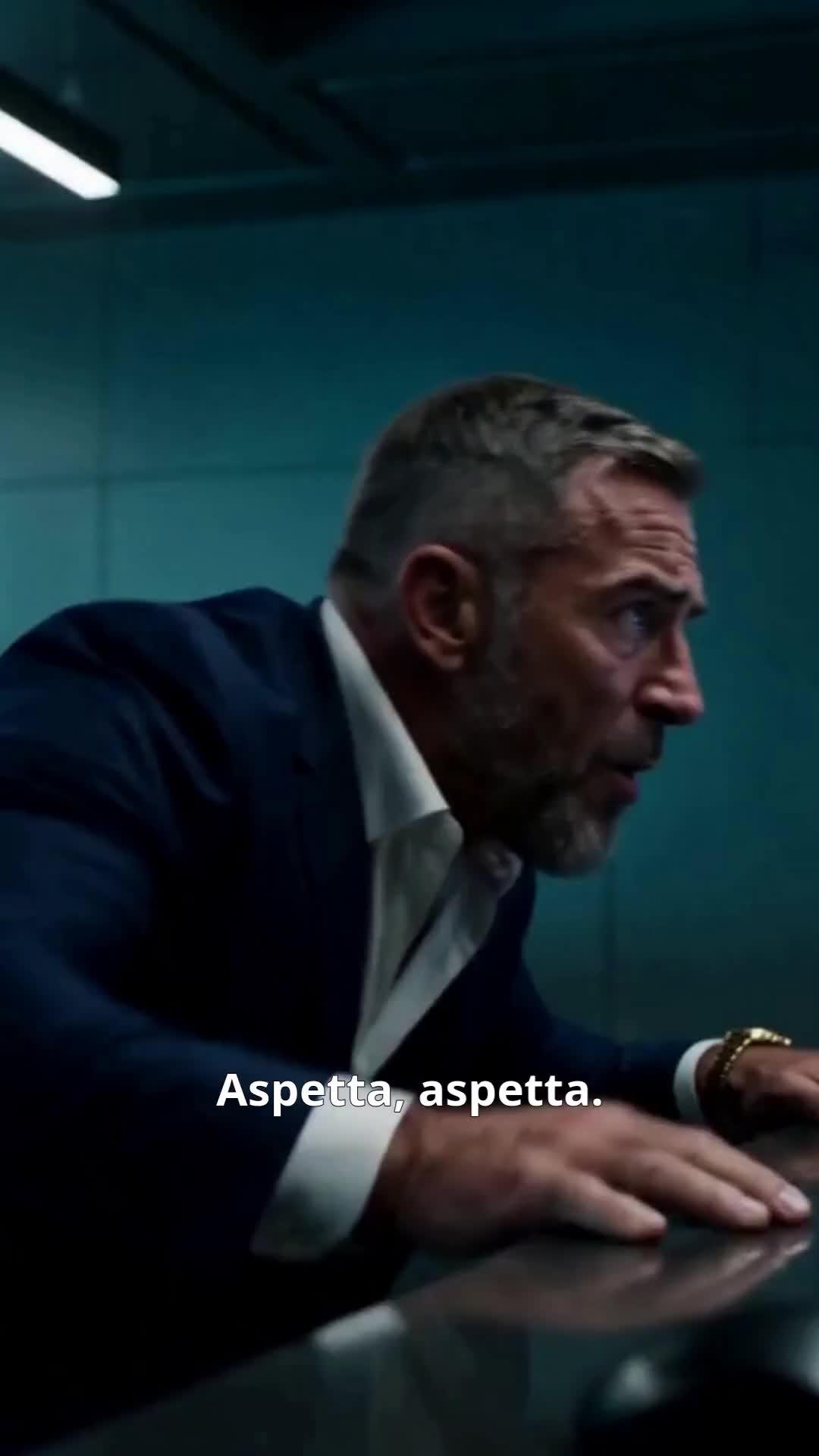 (Doppiaggio) Falco Nero Risorge