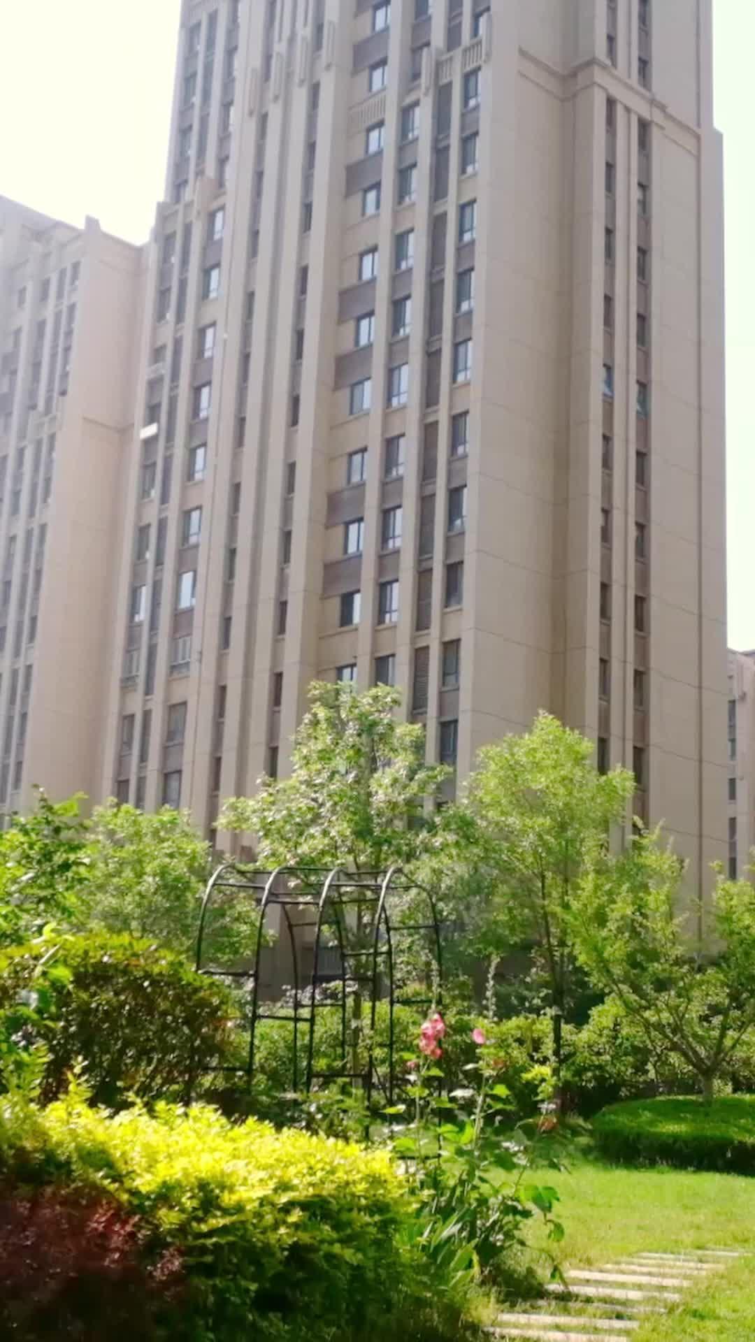 收留落魄總裁的第N天
