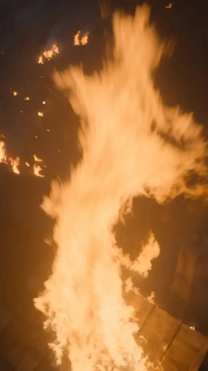 Episode 29
