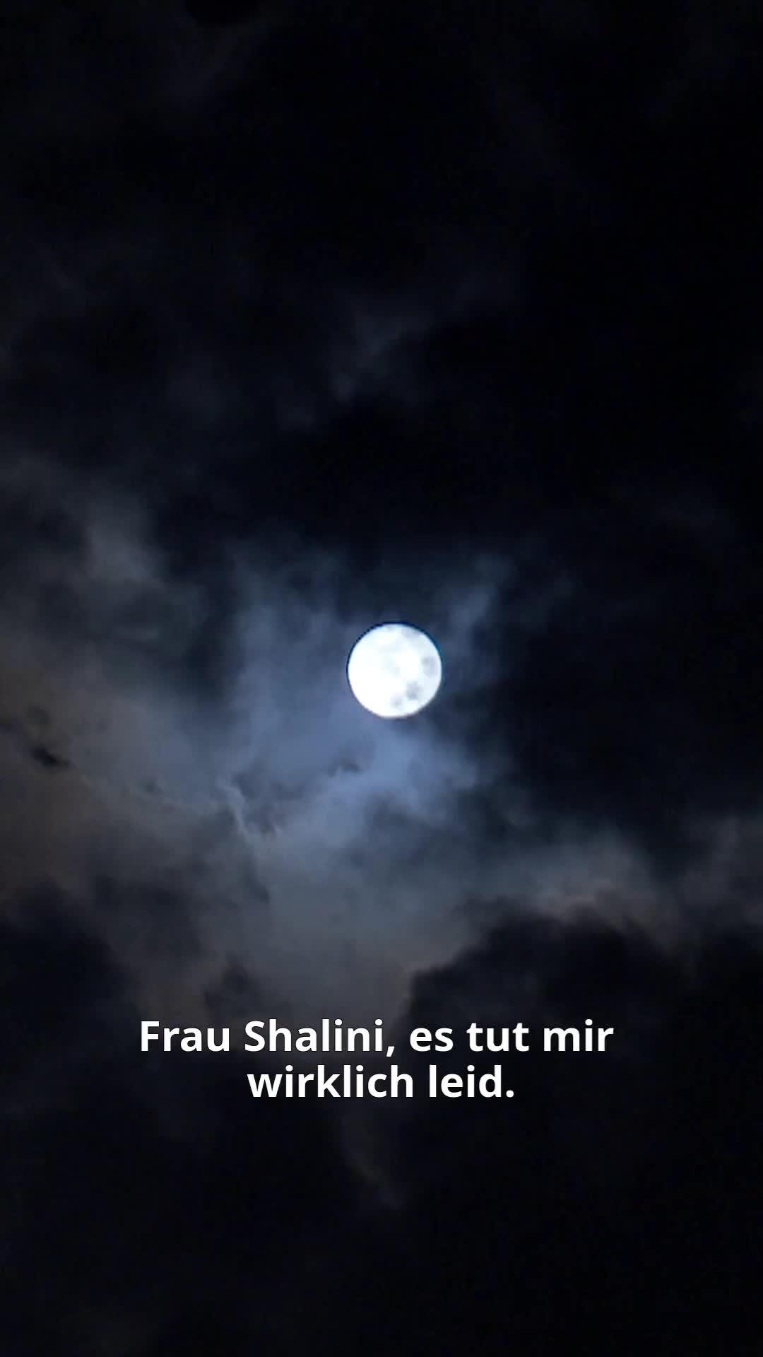 (Synchro) Ein Milliarden-Dollar-Wala-Fehler!