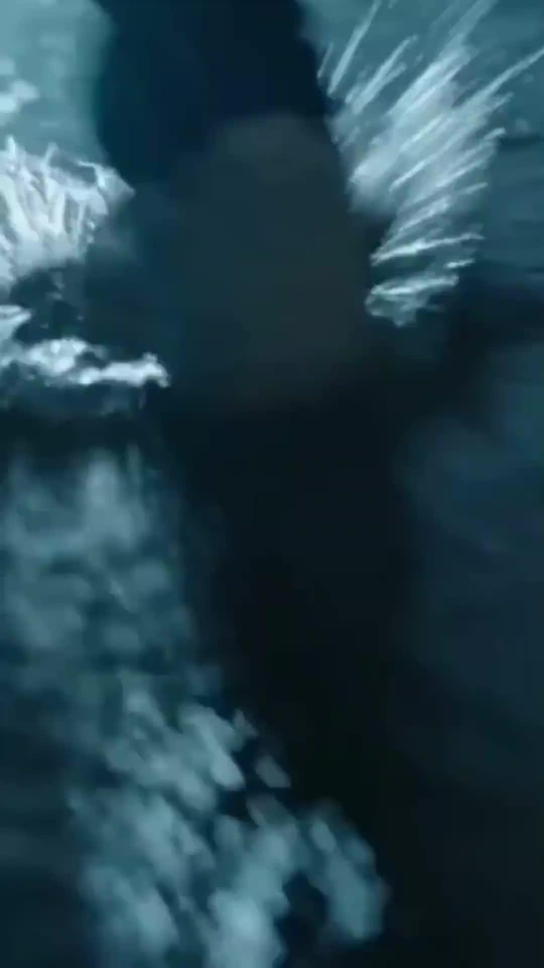 À LA POURSUITE DE MON MARI