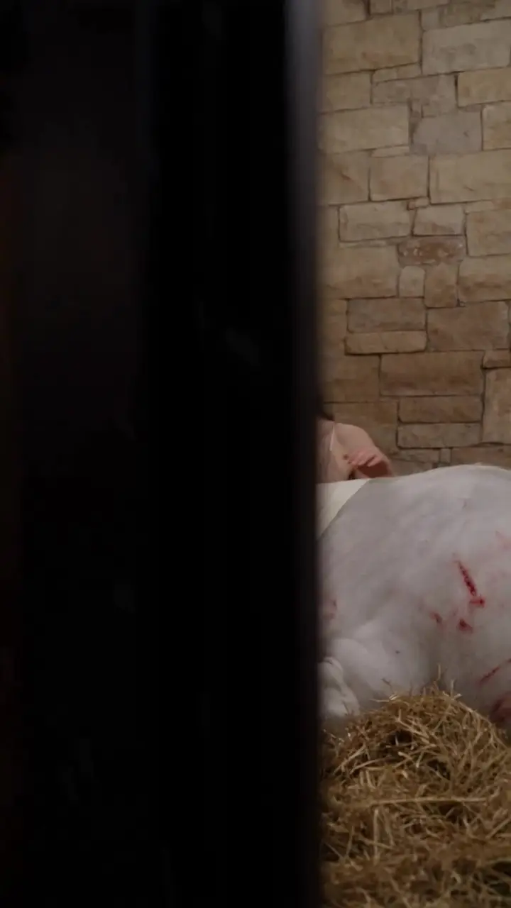 Episode 8