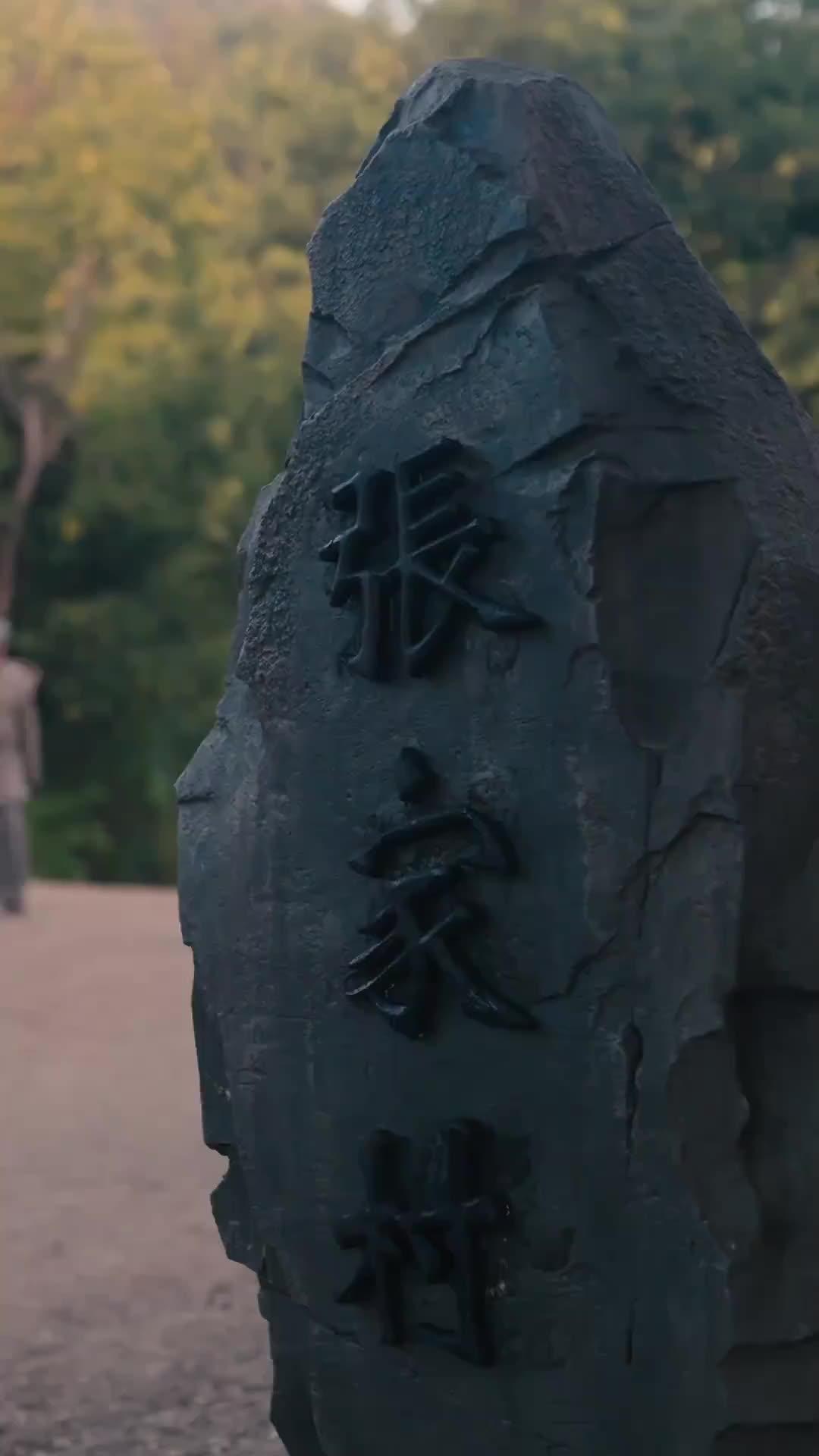 最強薬師、天下を癒す