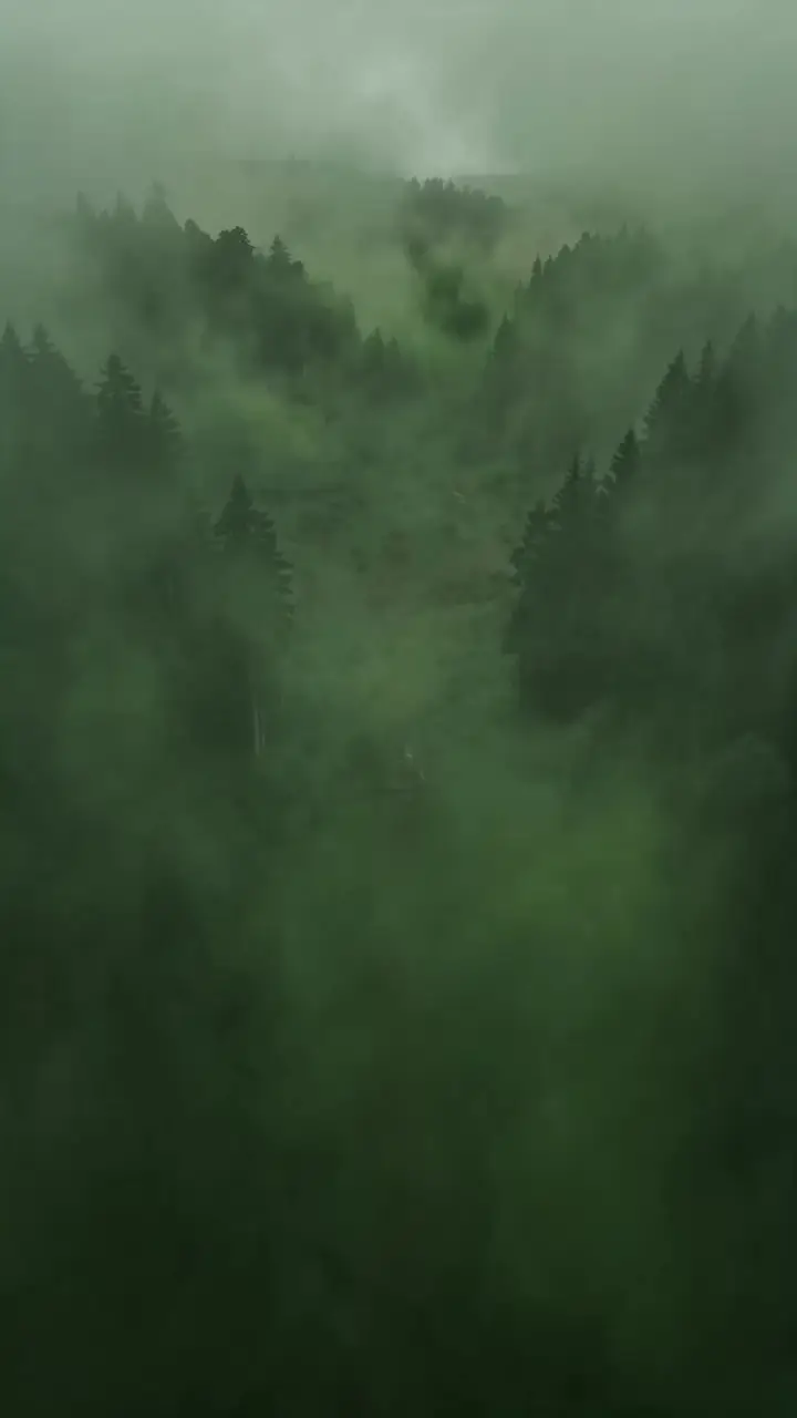 Episode 28
