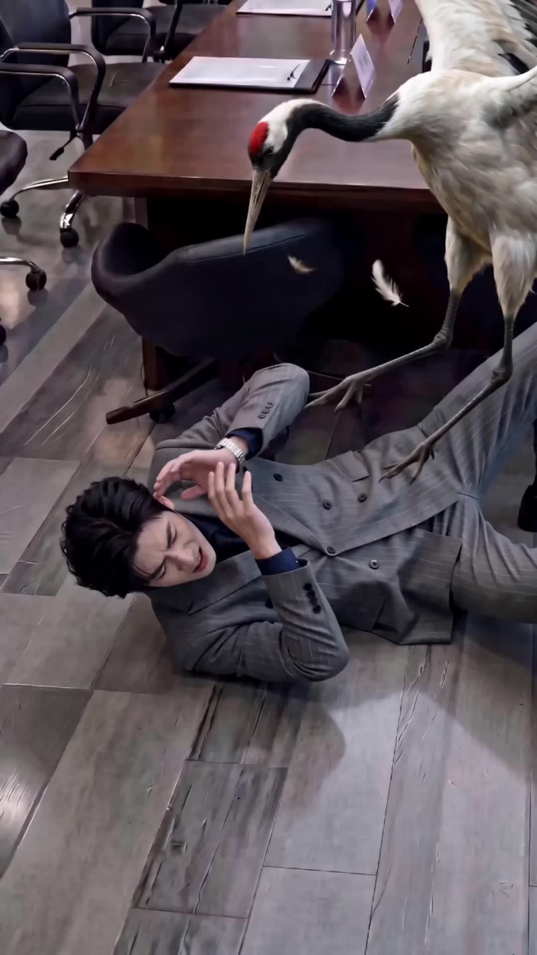 Amarah Si Induk Ayam