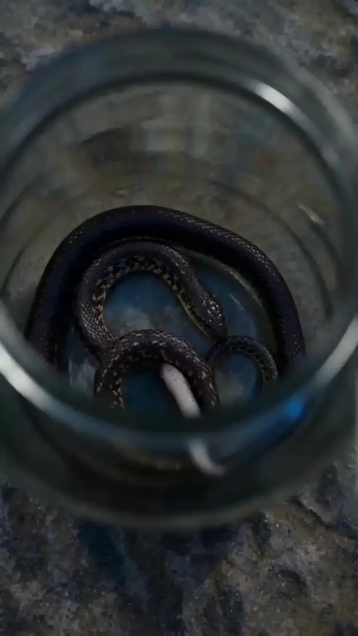Episode 14